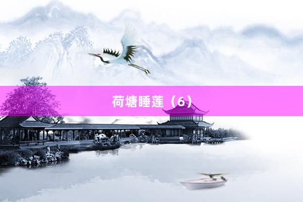 荷塘睡莲（6）