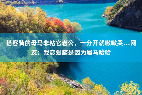搭客骑的母马非粘它老公，一分开就嗷嗷哭…网友：我恋爱脑是因为属马哈哈