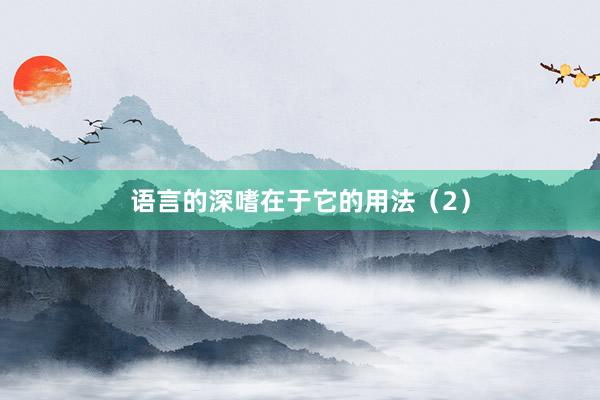 语言的深嗜在于它的用法(2)