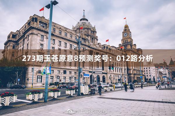 273期玉苍原意8预测奖号：012路分析