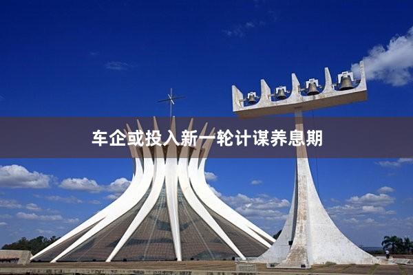 车企或投入新一轮计谋养息期