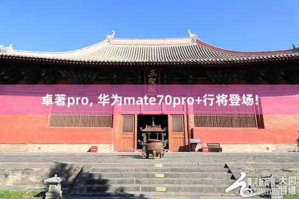 卓著pro, 华为mate70pro+行将登场!