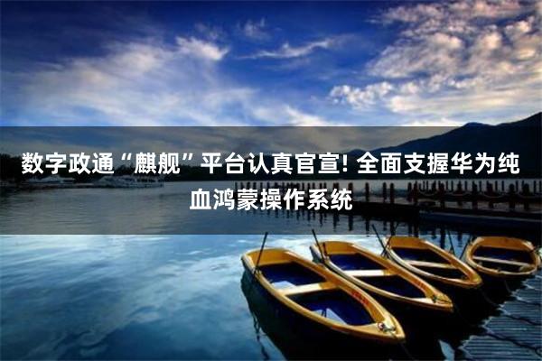 数字政通“麒舰”平台认真官宣! 全面支握华为纯血鸿蒙操作系统
