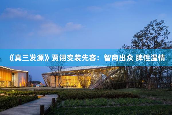 《真三发源》贾诩变装先容：智商出众 脾性温情