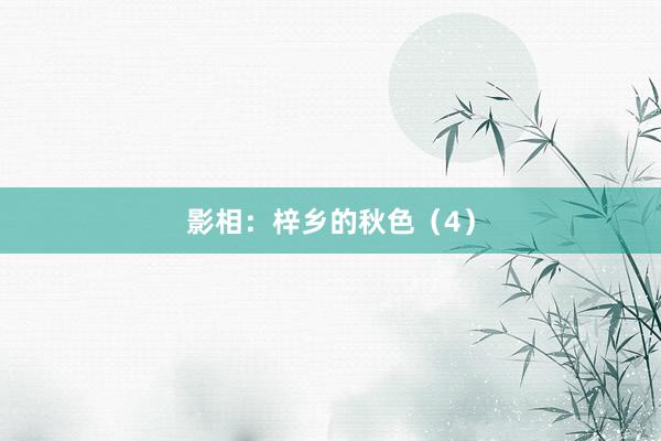 影相：梓乡的秋色（4）