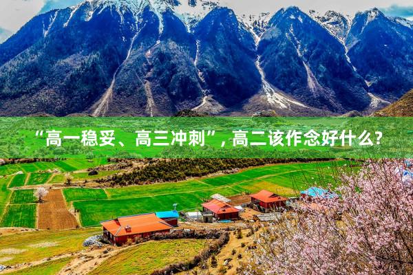 “高一稳妥、高三冲刺”, 高二该作念好什么?